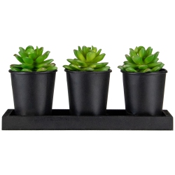 NORTHLIGHT Set Of 3 Mini Artificial Potted Succulents With Wood Planter 5