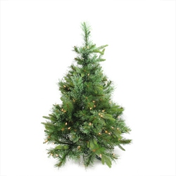 NORTHLIGHT 3' X 29" Pre-Lit Ashcroft Cashmere Pine Full Artificial Christmas Tree - Clear Dura Lights