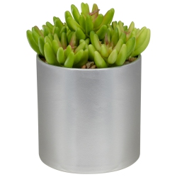 NORTHLIGHT 4.75" Potted And Green Artificial Sedum Succulent In Red