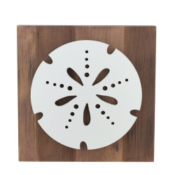 DARICE 15.75" And Brown Sand Dollar Decorative Wall Plaque In White
