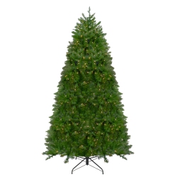 NORTHLIGHT 12' Pre-Lit Northern Pine Full Artificial Christmas Tree, Clear Lights
