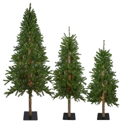 NORTHLIGHT Set Of 3 Pre-Lit Slim Alpine Artificial Christmas Trees 6' - Clear Lights