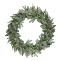 NORTHLIGHT Pre-Lit Washington Frasier Fir Artificial Christmas Wreath - 24-Inch, Clear Lights