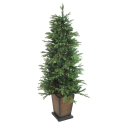 NORTHLIGHT 6' Pre-Lit Potted Oregon Noble Fir Slim Artificial Christmas Tree - Clear Led Lights