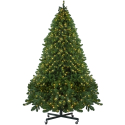 NORTHLIGHT 12' Pre-Lit Full Olympia Pine Artificial Christmas Tree - Warm Lights In White