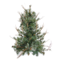 NORTHLIGHT 3' X 28" Country Mixed Pine Artificial Christmas Wall Or Door Tree - Unlit