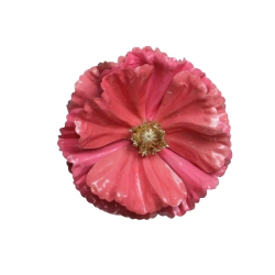 NORTHLIGHT 4.75" Shiny Poppy Christmas Clip Ornament In Pink
