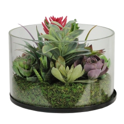 NORTHLIGHT 8" Artificial Mixed Succulent Arrangement In Round Glass Jar