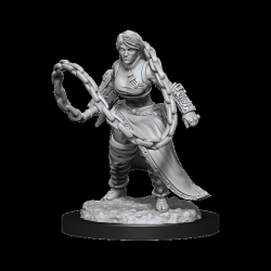 WIZKIDS GAMES Dungeons & Dragons Nolzur's Marvelous Unpainted Miniatures: Human Monk (Female)