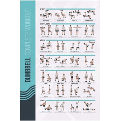 POSTERMATE Fitmate Dumbbell Workout Exercise Poster - Workout Routine With Free Weights, Home Gym Decor, Room Guide (16.5 X 25 Inch)
