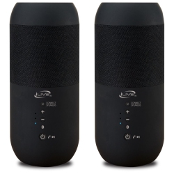ILIVE Isbw240Bdl Indoor/outdoor Dual Bluetooth Waterproof Speakers W/ Removable Stake