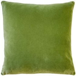 PILLOW DECOR Castello Summer Velvet Throw Pillow 20X20 With Polyfill Pillow Insert In Green