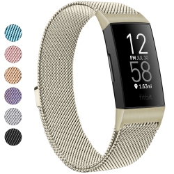 HLD Amzpas Metal Band Compatible With Fitbit Charge 4 Bands, Fitbit Charge 3 / Fitbit Charge 3 Se Bands, Adjustable Stainless Me