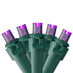 NORTHLIGHT 50 Purple Led Wide Angle Christmas Lights - 16.25 Ft Wire In Green