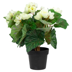 NORTHLIGHT 11" Cream Potted Silk Begonia Spring Artificial Floral Arrangement
