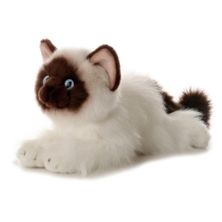AURORA Bella Siamese Cat 12" Flopsie By