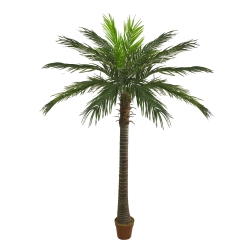 NORTHLIGHT Potted Artificial Phoenix Palm Tree - 70
