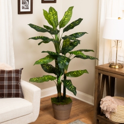 NORTHLIGHT Wide Leaf Artificial Dieffenbachia Potted Plant - 59