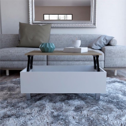 TUHOME FURNITURE Tuhome Gambia Lift Top Coffee Table Engineered Wood Coffee Tables In In White