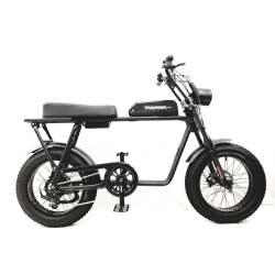 THUNDER E-BIKE 2022 Thunder Fat Tires Cruiser Style Electric Bike - High Power, Up to 75Km Distance - Cruiser Confortable E Bike