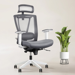 EFFYDESK Ergochair Executive Home Office Desk Chair With Lumbar Support 4D Armrest Adjustable Task Chair - In White