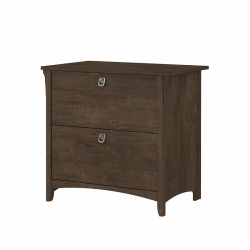 BUSH Furniture Salinas 2 Drawer File Cabinet In Ash In Brown