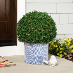 NORTHLIGHT 20" Pre-Lit Artificial Boxwood Ball Topiary In Round Pot, Clear Lights