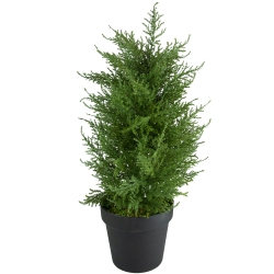 NORTHLIGHT Real Touch Artificial Cedar Pine Petite Arborvitae Tree In Round Pot - 2' - Unlit