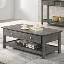FURNITURE OF AMERICA Lekwick Transitional Wood 2-Drawer Coffee Table In In Gray
