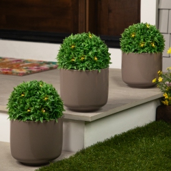 NORTHLIGHT Solar Lighted Artificial Eugenia Topiary Spheres - 7" - Set Of 3 - Warm Lights In White