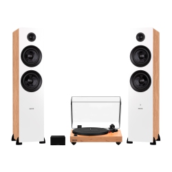 FLUANCE Rt83 Reference High Fidelity Vinyl Turntable, Pa10 Phono Preamp And Ai81 Elite Powered Floorstanding Speakers