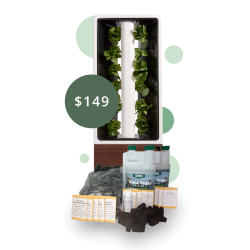 JUST VERTICAL Seeds & Supplies Savings Box - Mixed Box