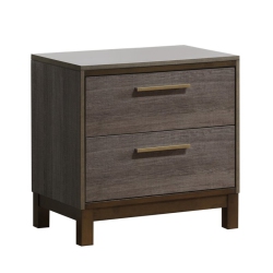BOWERY HILL 2-Drawer Contemporary Wood Nightstand In Antique In Gray