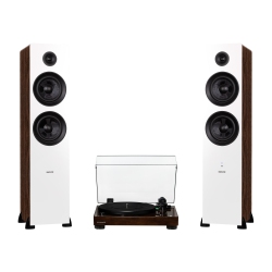 FLUANCE Rt81 Elite High Fidelity Vinyl Turntable And Ai81Powered 2-Way Floorstanding Tower Speakers