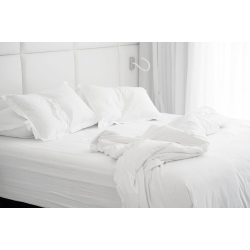 PROTECH ALLERGIES Queen-Size Dust Mite Mattress Cover (60" X 80")