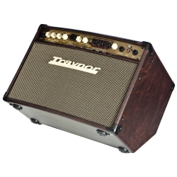 TRAYNOR 2-Channel Compact Stereo Acoustic Guitar Amp - 65 Watts