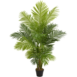 NEARLY NATURAL 60" Hawaii Palm Artificial Tree With Feather-Like Palm Fronds In Green/black