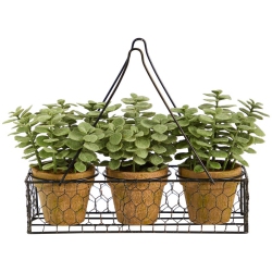 NEARLY NATURAL 7" Mini Jade Garden Artificial Plant With Hanging Planter In Brown