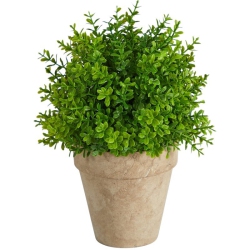 NEARLY NATURAL 8" Boxwood Artificial Plant In Decorative Planter In Green/beige