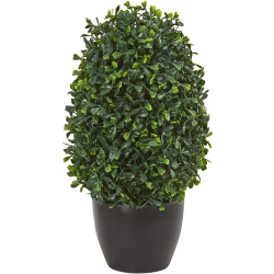 NEARLY NATURAL Indoor/outdoor 13" Boxwood Topiary Artificial Plant Uv Resistant In Green/black