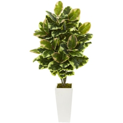 NEARLY NATURAL Variegated Rubber Leaf Artificial Plant In Tower Vase In Green/ In White