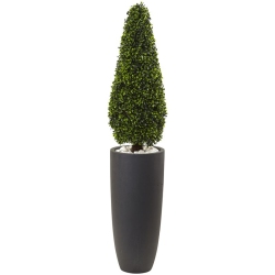 NEARLY NATURAL Indoor/outdoor 50" Boxwood Topiary With Cylindrical Planter In Green/gray