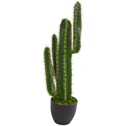 NEARLY NATURAL 30" Cactus Artificial Plant With Thick Stem/spines In Green/black
