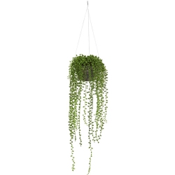 NEARLY NATURAL String Of Pearl Artificial Plant Hanging Basket In Green/brown