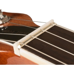 GOLD TONE Tone Banjo Replacement Nut- Slotted