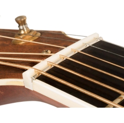 GOLD TONE Tone Taylor-Style Replacement Nut- Slotted