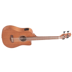 GOLD TONE Tone Micro Bass 23 Fretless With Gigbag