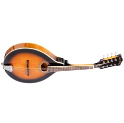 GOLD TONE Tone Gm-50+ A-Style Mandolin With Pickup