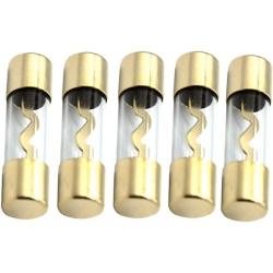 DOLAER 5 X 60A Agu Fuse Car Auto Audio Power Safety Protect Glass Tube Plated Radio In Gold