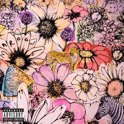 INTERSCOPE RECORDS Maroon 5 - Jordi [Compact Discs]